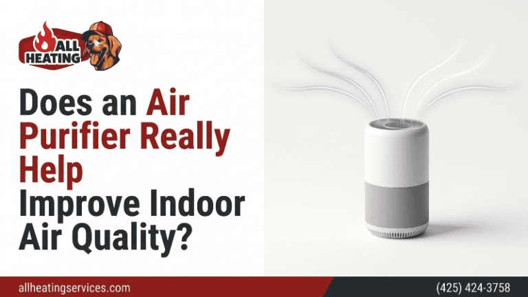 Does an Air Purifier Really Help Improve Indoor Air Quality?