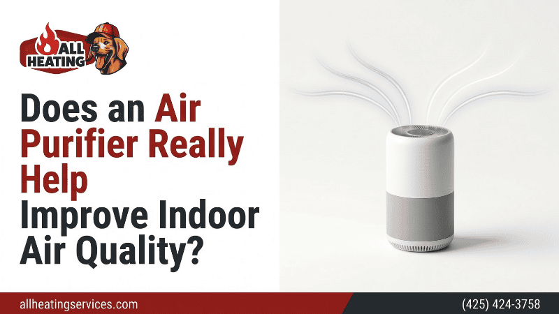 Does an Air Purifier Really Help Improve Indoor Air Quality?